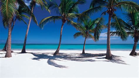 Punta cana beach wallpaper | 1920x1080 | #31494