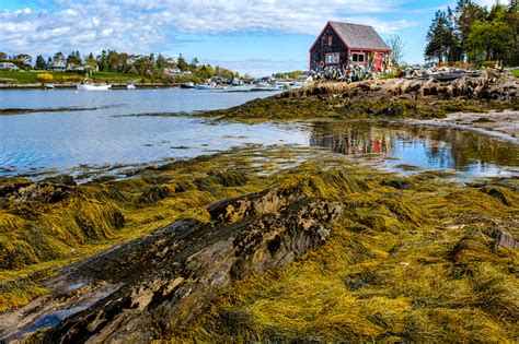 Bailey Island Maine Lobster Shack - Cape Ann Photo Tours