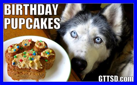 BIRTHDAY CUPCAKES for the DOG Homemade How to Dog Birthday Pupcakes Recipe - Gone to the Snow ...