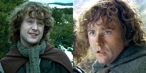 LOTR: Essential Facts About Pippin