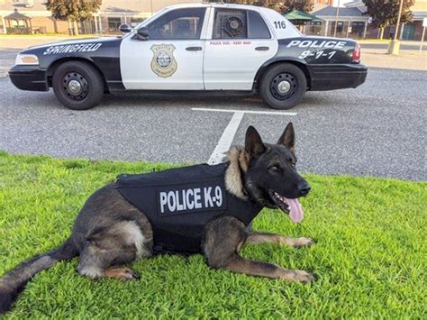 Vested Interest in K9s of Taunton donates ‘body armor’ to Springfield ...