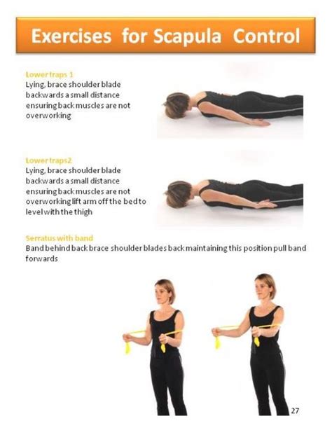 Exercises for scapular control #PsoasPain | Scapula exercises, Shoulder exercises physical ...