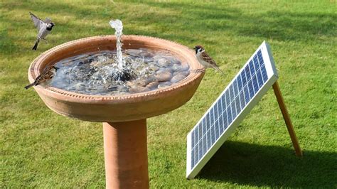 Small Solar Pump For Bird Bath Cheap Buy | distributorskincare.net