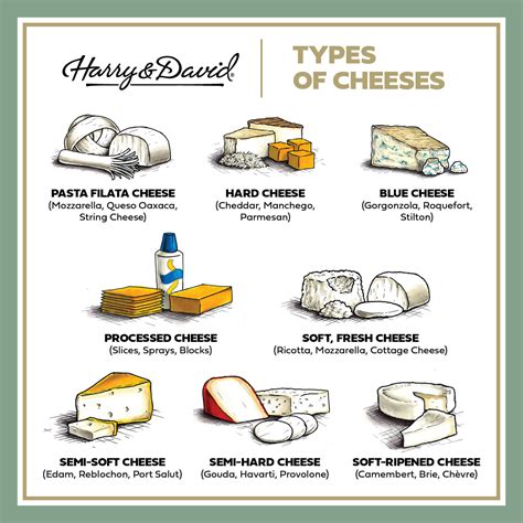 11 Types of Cheese You Should Know | The Table by Harry & David