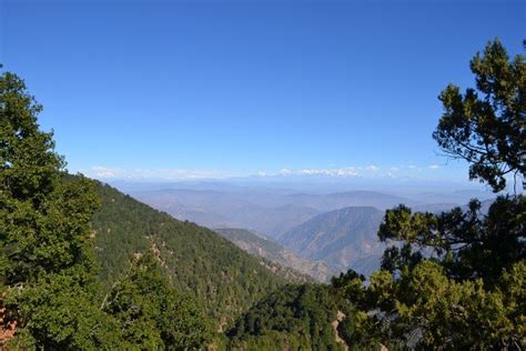 2023 Nainital Nature Trekking Experience (4 Hours guided experience)