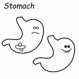 Stomach Coloring Page sketch template