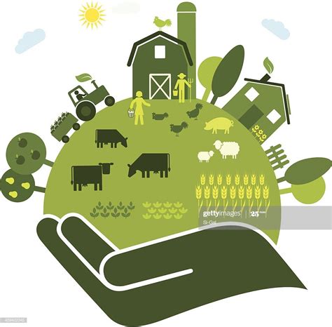 Organic farm | Agriculture bio, Clipart, Modèles de conception