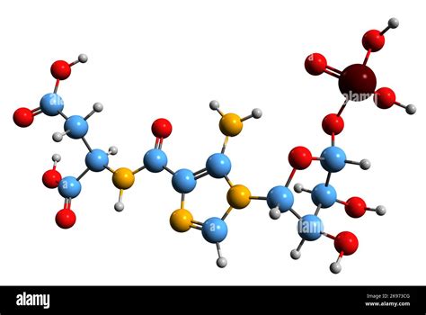 3D image of Phosphoribosylaminoimidazolesuccinocarboxamide skeletal formula - molecular chemical ...