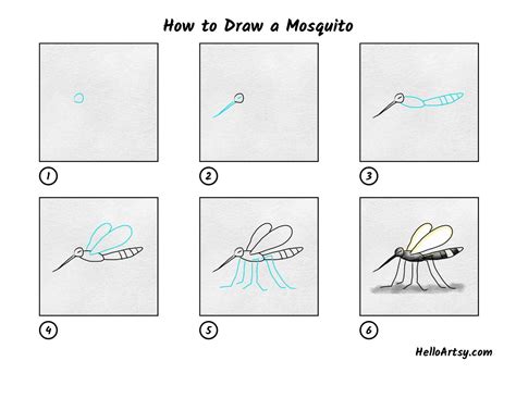 How to Draw a Mosquito - HelloArtsy