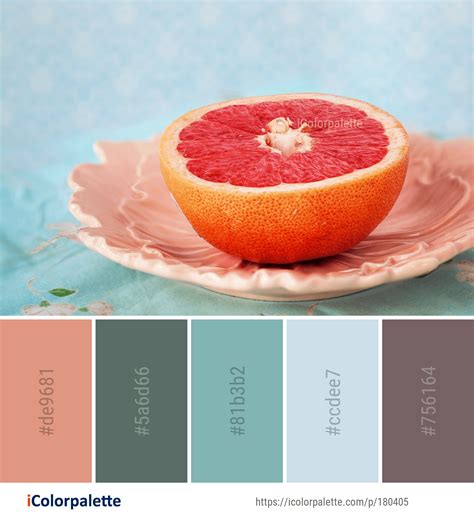 11 Grapefruit Color Palette ideas in 2024 | iColorpalette