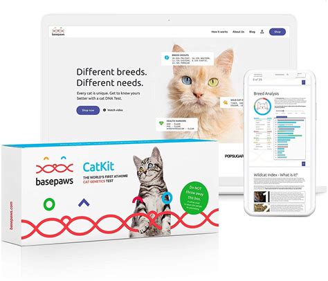 Cat Breed DNA Test: Find Out More About Your Feline - Veterinarians.org