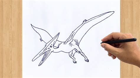 Pterodactyl Drawing