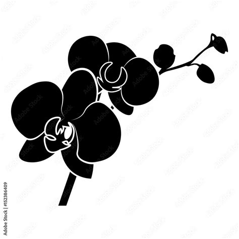 Orchid vector icon. Stock Vector | Adobe Stock