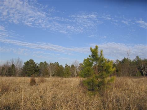 Relaxed Hiking NC: Kings Mountain Gateway Trail