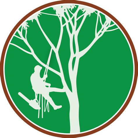 Paul The Tree Climber Icon | Paul The Tree Climber