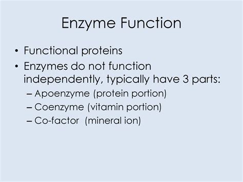 Enzymes Key to Metabolism. - ppt download