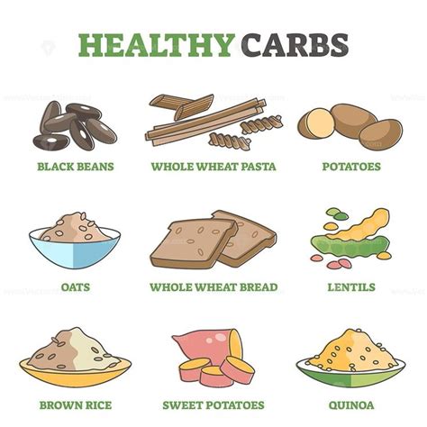 Healthy carbs and good carbohydrate examples for eating diet outline diagram – VectorMine ...