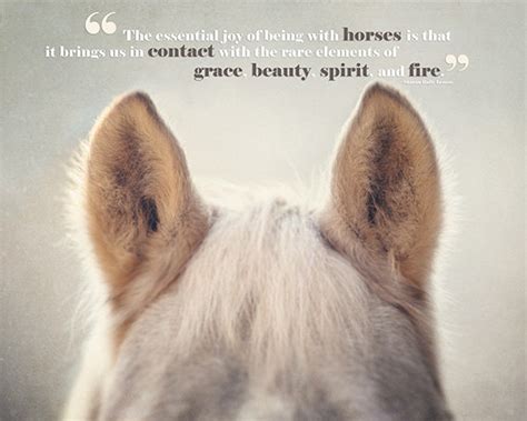 Horse Friendship Quotes. QuotesGram