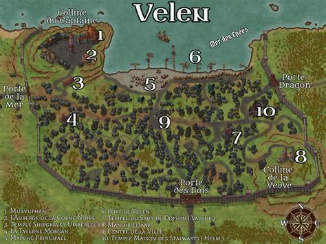 I remade the old city map of Velen of the forgotten realms : r/dndmaps