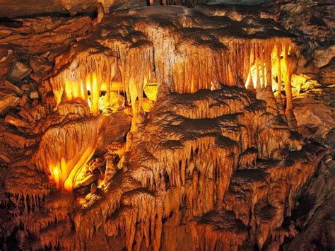 Mammoth Cave is the longest cave system from all known in the world / Kentucky | Mammoth cave ...