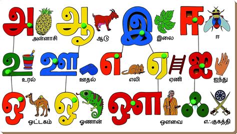 Buy StonKraft Preschool Learning Toys - Tamil / Tamizh Vowels with Objects | Tamil Alphabets ...