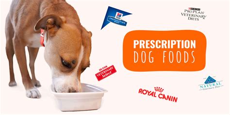 9 Best Prescription Dog Foods – Plus Top 5 Vet-Recommended Formulas