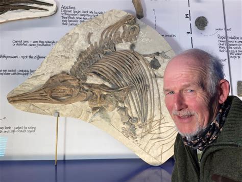 Amateur fossil hunter unearths new type of prehistoric ‘sea dragon’ on Dorset beach | The ...