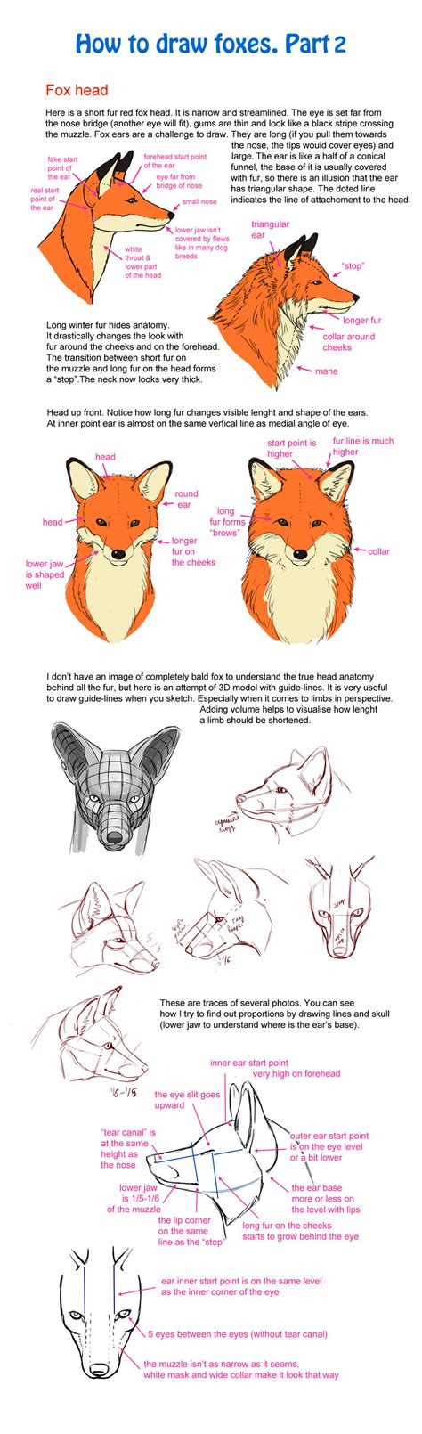 How to draw fox, part 2 by Elruu on DeviantArt