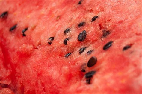 Red Middle of Watermelon with Seeds Close-up Stock Image - Image of closeup, seeds: 99154839