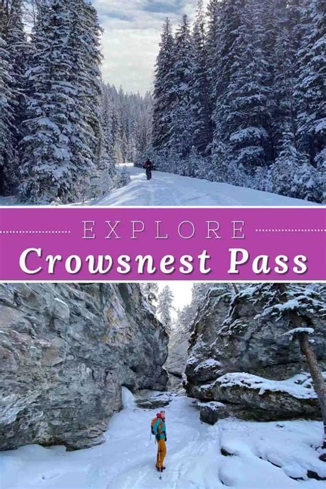 Crowsnest Pass Things To Do Right Now, This Winter! | Canadian vacation, Canada travel, Alberta ...