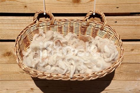 Alpaca Fiber Stock Photo | Royalty-Free | FreeImages