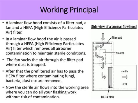 Management of laminar air flow