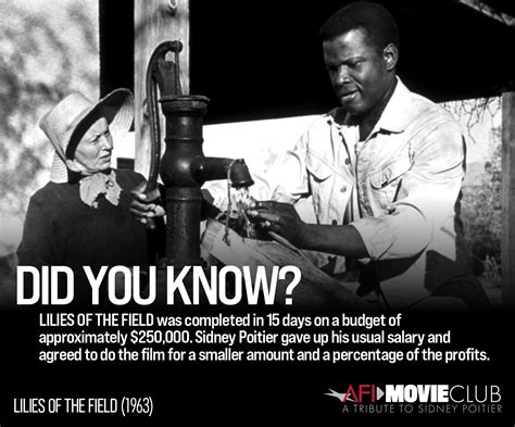 AFI Movie Club Tribute to Sidney Poitier: LILIES OF THE FIELD | American Film Institute