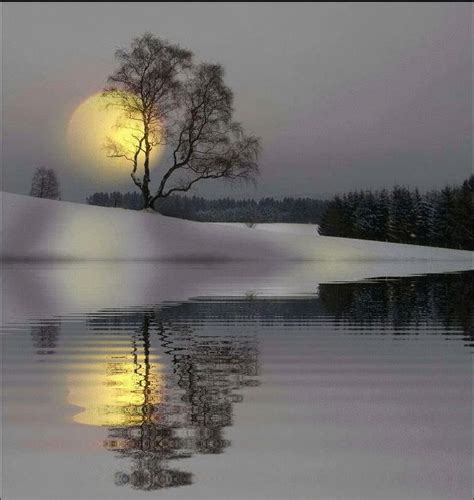 A beautiful moon reflection. | Beautiful moon, Water reflections, Moon photos