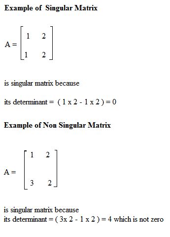 What are Singular and Non Singular Matrices?