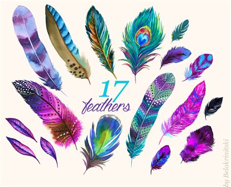 Watercolor Feathers | Decorative Illustrations ~ Creative Market