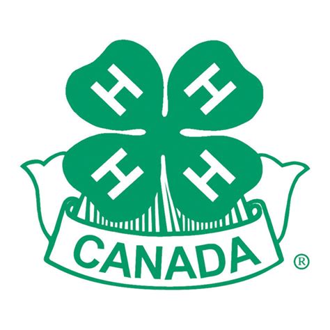 4-h logo - Free Cliparts & PNG - 4-h logo, 4-h logo background, 4-h logo