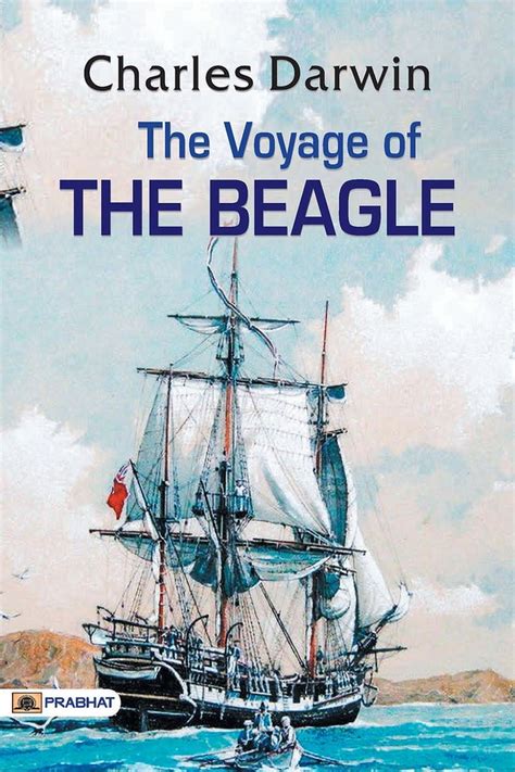 The Voyage of the Beagle (Paperback) - Walmart.com