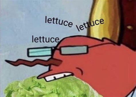 Lettuce lettuce | Memes Amino