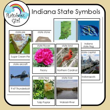 Indiana State Symbols | State symbols, New york state, States project