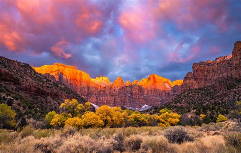 Wallpaper Zion National Park, Autumn, Colors images for desktop, section пейзажи - download