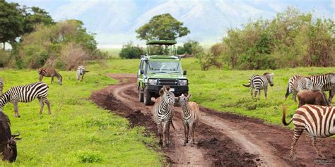 Top 5 Best Tanzania Family Safaris & Tours – SafariBookings