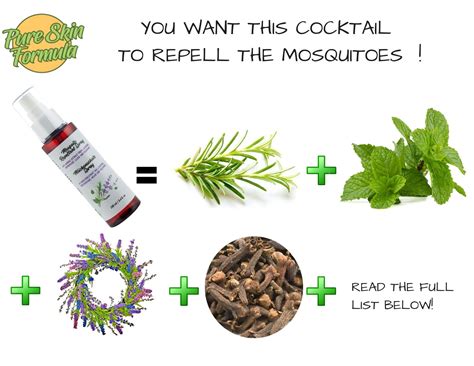 Grab Amazing Mosquito Repellent Spray With Herbal Extract!