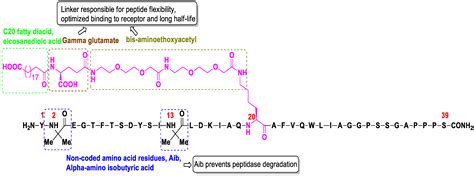 Molecules | Free Full-Text | Tirzepatide, a New Era of Dual-Targeted ...