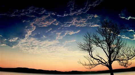 trees, Clouds, Landscape Wallpapers HD / Desktop and Mobile Backgrounds