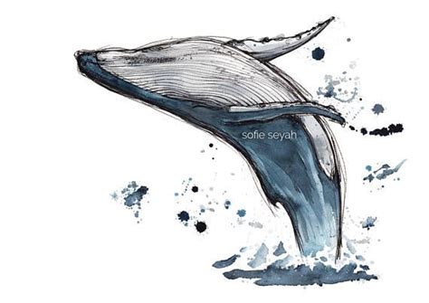 Humpback Whale Breaching Drawing