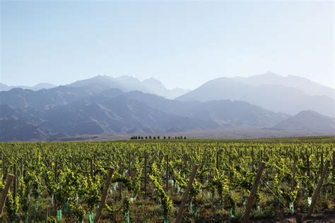 Itinerary: Wine Tasting in Argentina's Uco Valley - Condé Nast Traveler