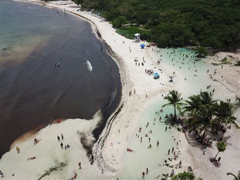 Punta Esmeralda, el oasis del Caribe mexicano que mejor libra el sargazo