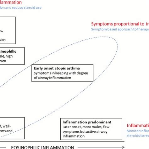 Clinical phenotypes of asthma identified by cluster analysis, adapted ...