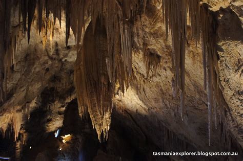 EXPLORING TASMANIA: Snapshot: Hastings Caves and Thermal Springs